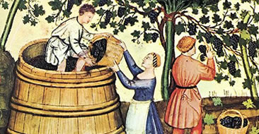 Zgodovina vina
